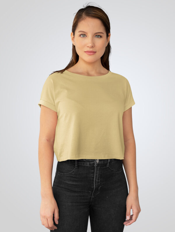 Plane Beige Crop Top T-Shirt