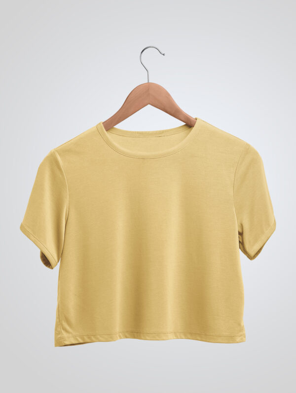 Plane Beige Crop Top T-Shirt