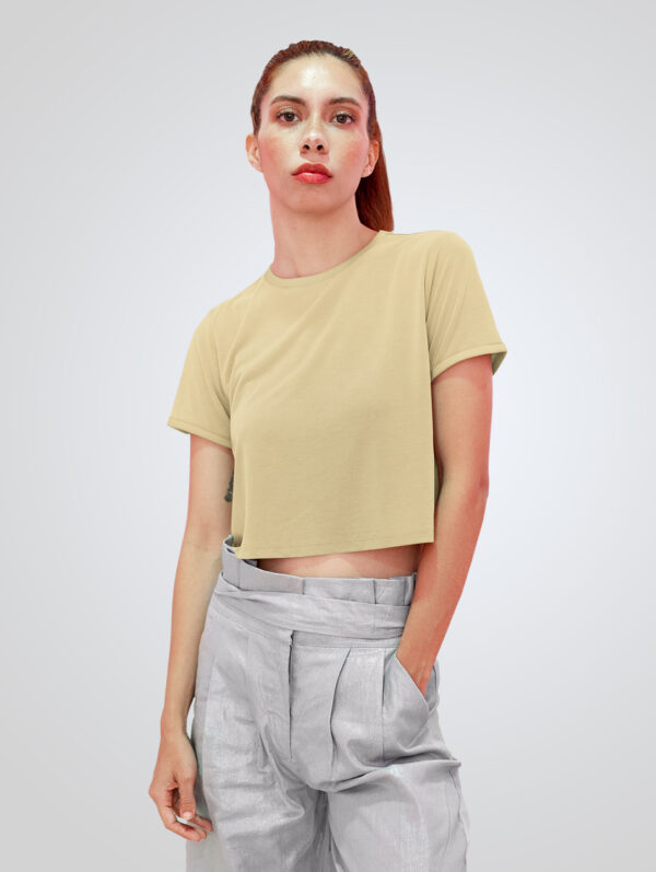 Plane Beige Crop Top T-Shirt